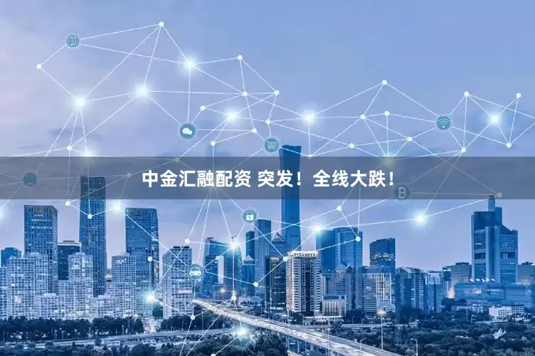 中金汇融配资 突发！全线大跌！