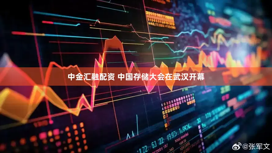 中金汇融配资 中国存储大会在武汉开幕